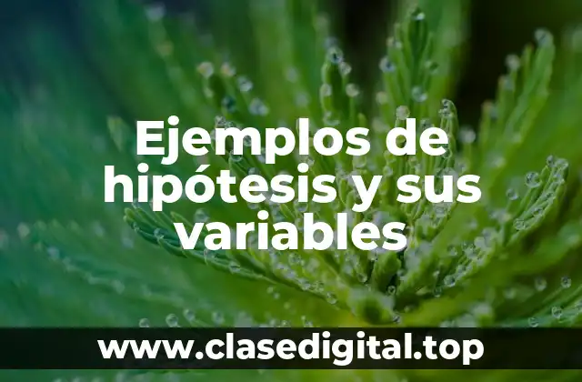 Ejemplos de hipótesis y sus variables