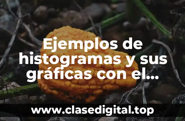 Ejemplos de histogramas y sus gráficas con el problema y Significado