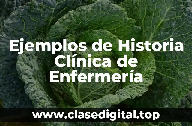 Ejemplos de Historia Clínica de Enfermería