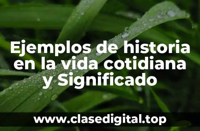 Ejemplos de historia en la vida cotidiana y Significado