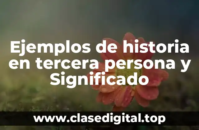 Ejemplos de historia en tercera persona y Significado
