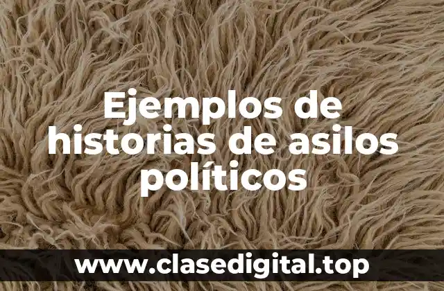 Ejemplos de historias de asilos políticos
