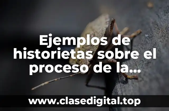 Ejemplos de historietas sobre el proceso de la conquista