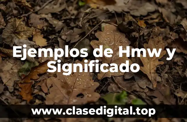 Ejemplos de Hmw y Significado