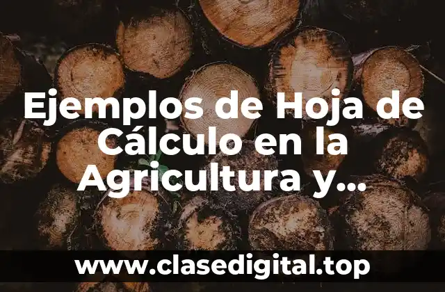 Ejemplos de Hoja de Cálculo en la Agricultura y Significado
