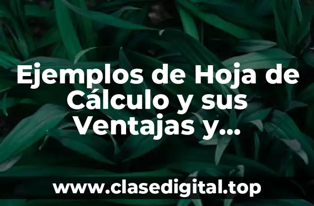 Ejemplos de Hoja de Cálculo y sus Ventajas y Desventajas y Significado