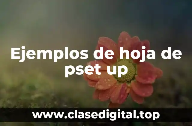 Ejemplos de hoja de pset up