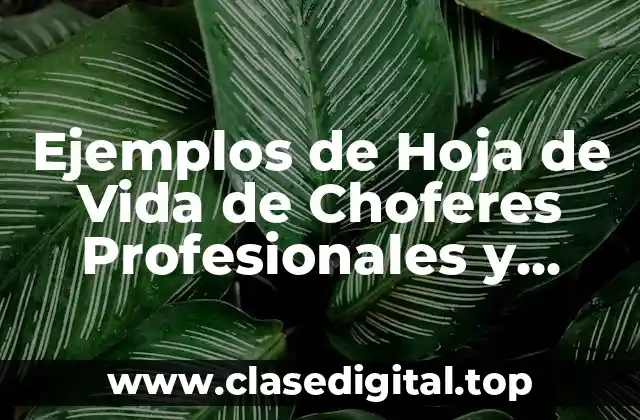 Ejemplos de Hoja de Vida de Choferes Profesionales y Significado