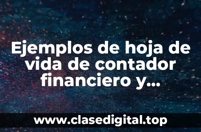 Ejemplos de hoja de vida de contador financiero
