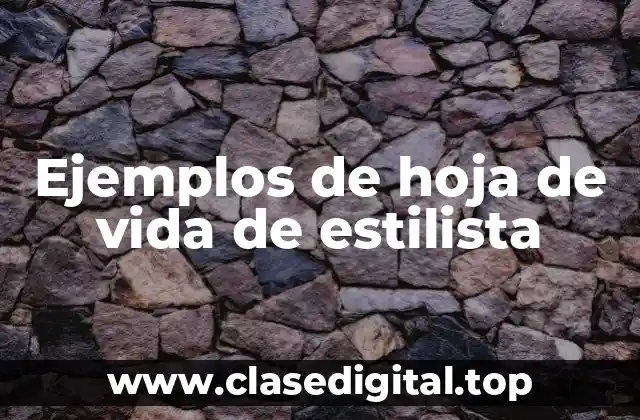 Ejemplos de hoja de vida de estilista