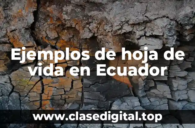 Ejemplos de hoja de vida en Ecuador