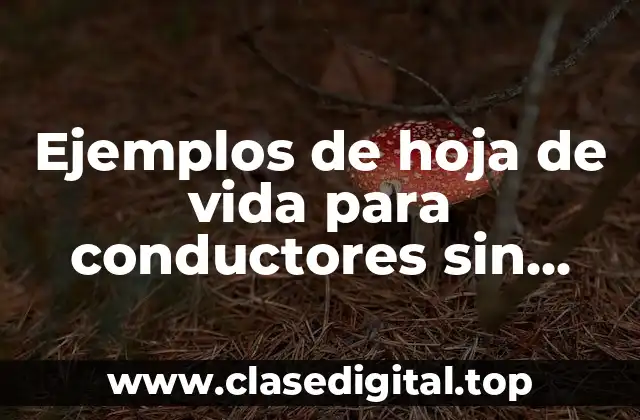 Ejemplos de hoja de vida para conductores sin experiencia