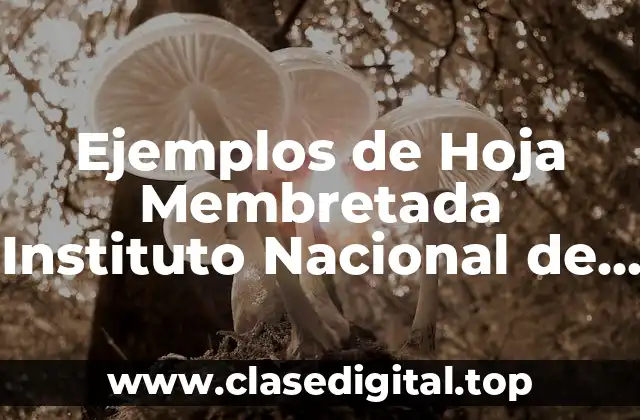 Ejemplos de Hoja Membretada Instituto Nacional de Neurologia y Significado