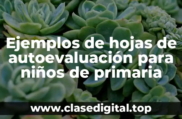 Ejemplos de hojas de autoevaluación para niños de primaria