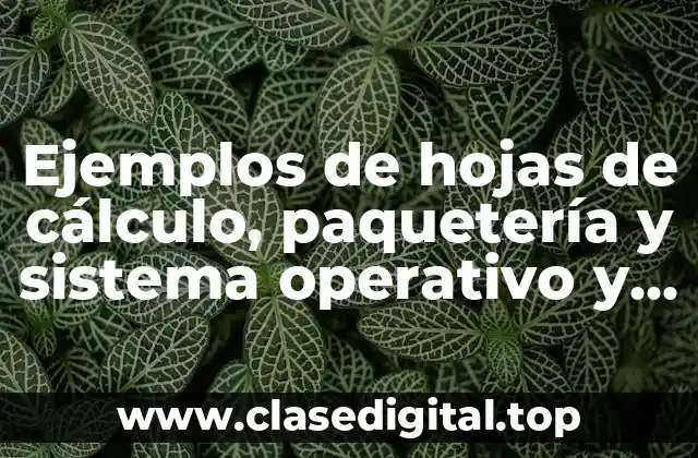 Ejemplos de hojas de cálculo, paquetería y sistema operativo y Significado