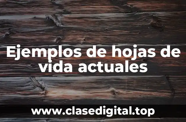 Ejemplos de hojas de vida actuales