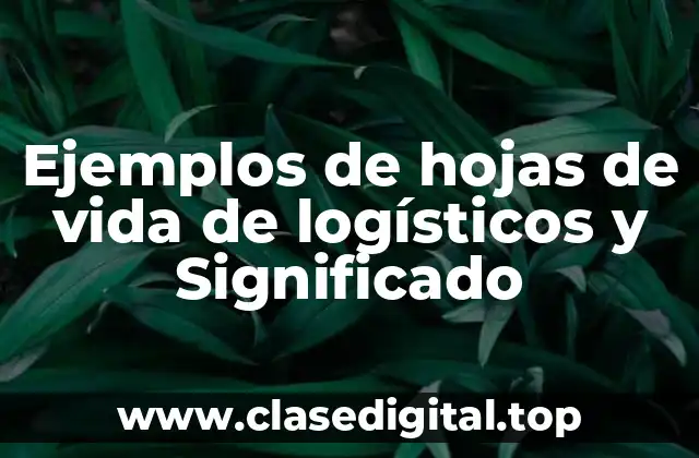 Ejemplos de hojas de vida de logísticos y Significado