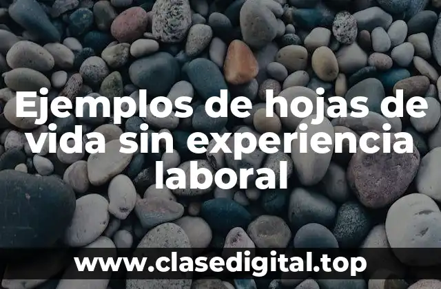 Ejemplos de hojas de vida sin experiencia laboral