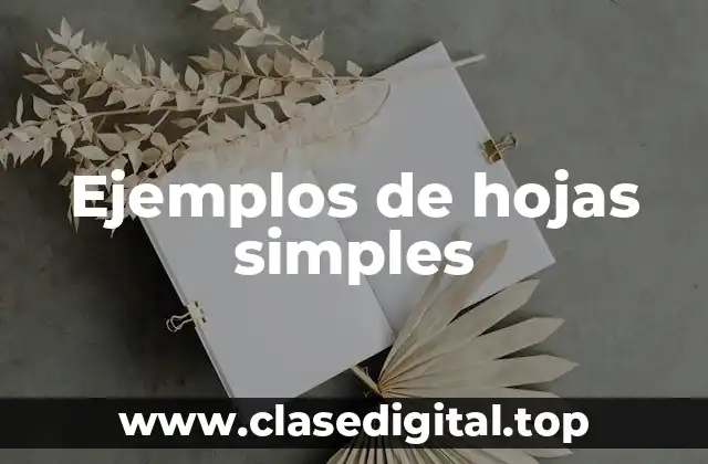 Ejemplos de hojas simples