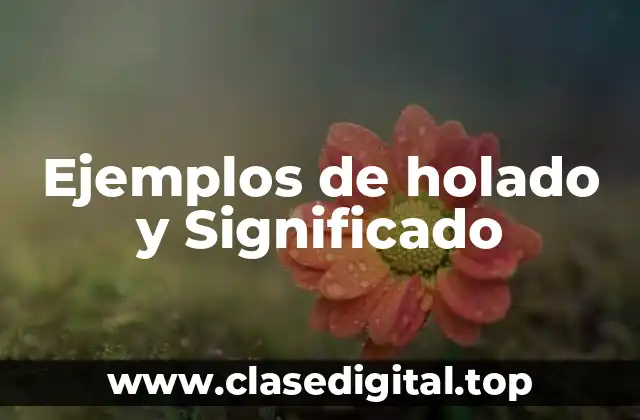 Ejemplos de holado y Significado