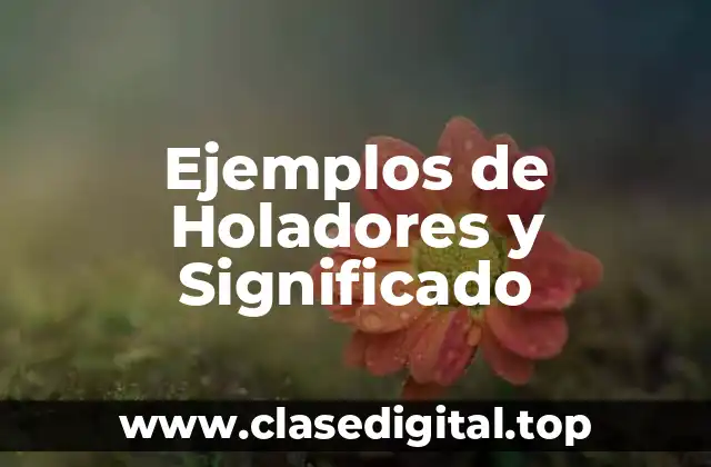 Ejemplos de Holadores y Significado