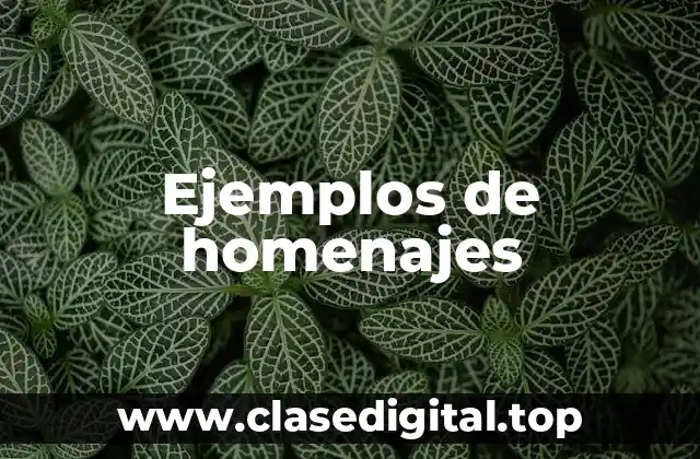 Ejemplos de homenajes