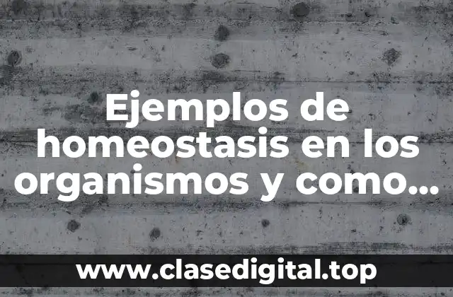 Ejemplos de homeostasis en los organismos y como sucede y Significado