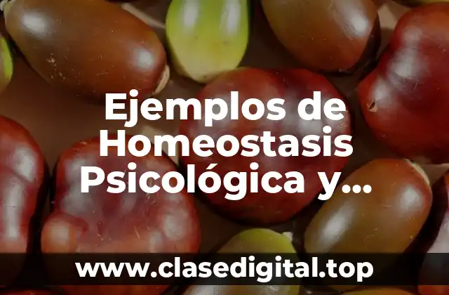 Ejemplos de Homeostasis Psicológica