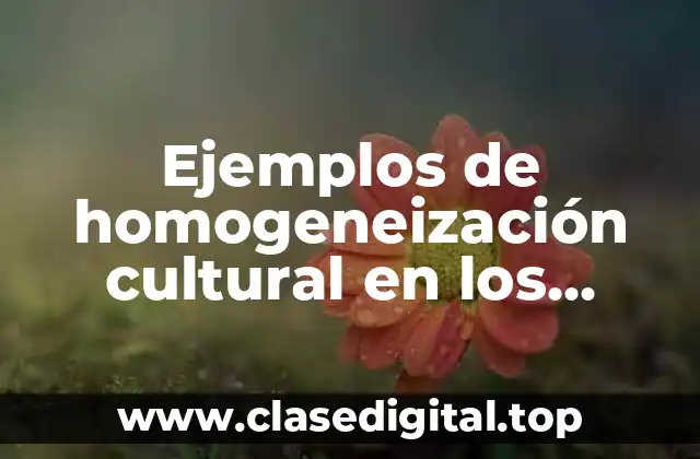 Ejemplos de homogeneización cultural en los medios de comunicación