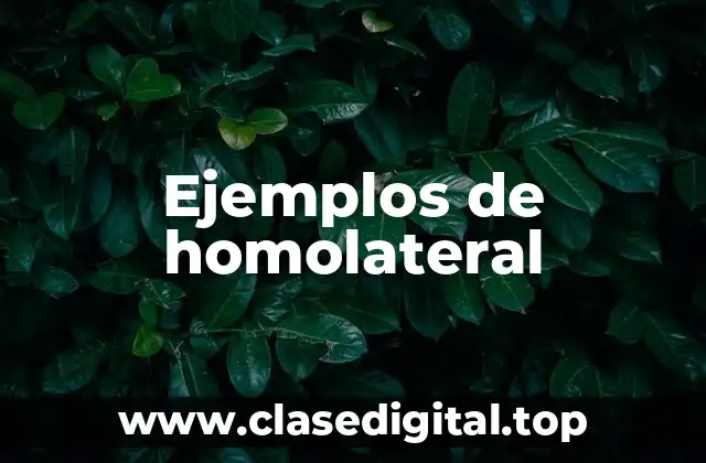 Ejemplos de homolateral