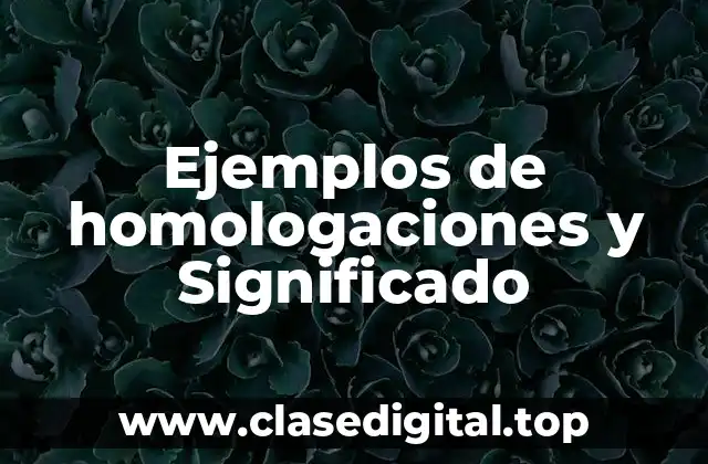 Ejemplos de homologaciones y Significado