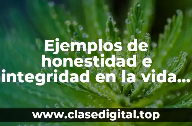 Ejemplos de honestidad e integridad