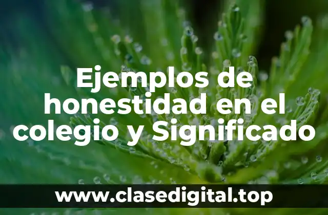 Ejemplos de honestidad en el colegio y Significado