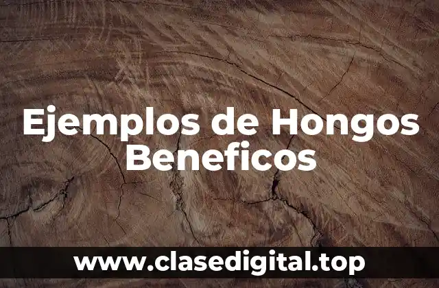 Ejemplos de Hongos Beneficos