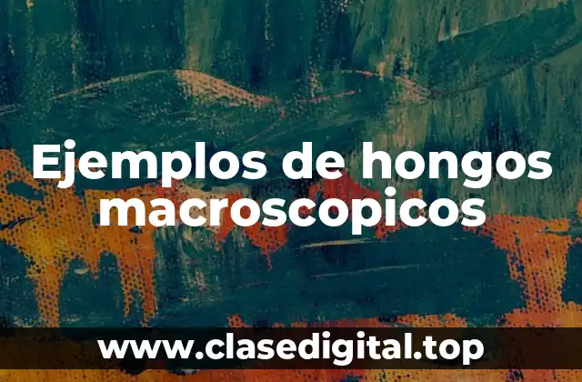 Ejemplos de hongos macroscopicos