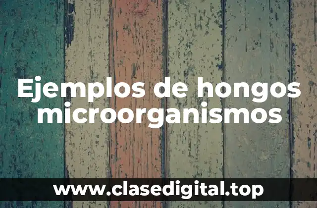 Ejemplos de hongos microorganismos