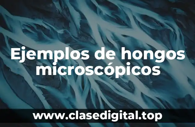 Ejemplos de hongos microscópicos