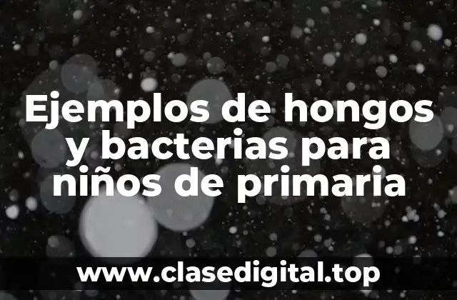 Ejemplos de hongos y bacterias para niños de primaria