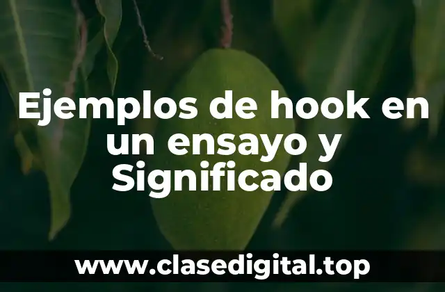 Ejemplos de hook en un ensayo y Significado
