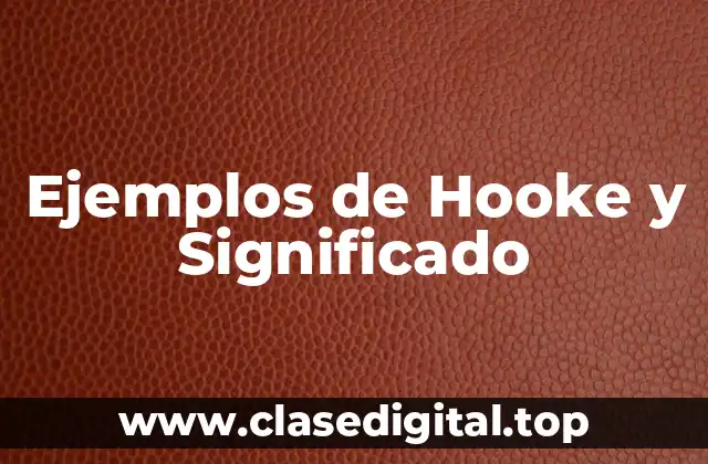 Ejemplos de Hooke y Significado