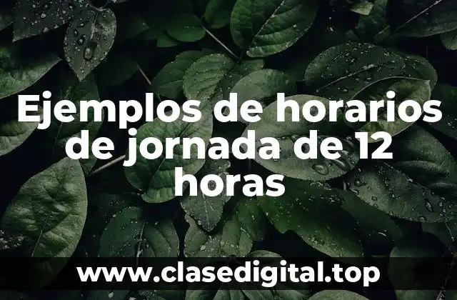 Ejemplos de horarios de jornada de 12 horas
