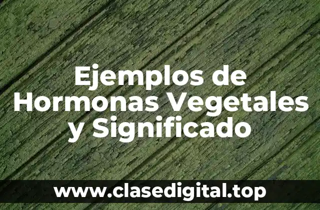 Ejemplos de Hormonas Vegetales y Significado