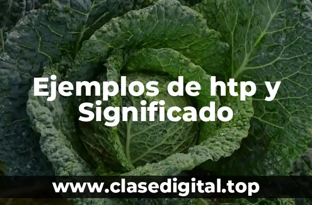 Ejemplos de htp y Significado