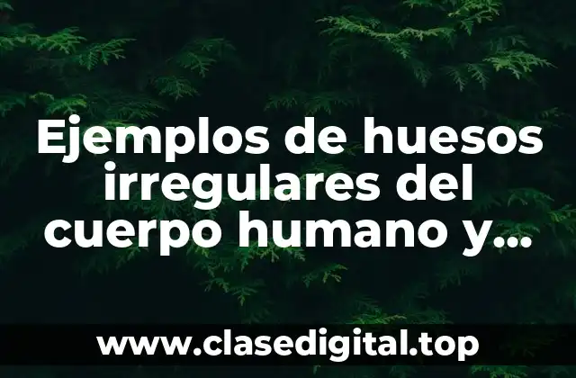 Ejemplos de huesos irregulares