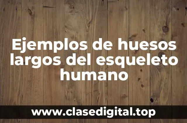 Ejemplos de huesos largos del esqueleto humano