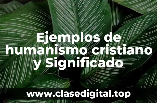 Ejemplos de humanismo cristiano y Significado