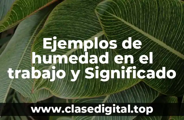 Ejemplos de humedad en el trabajo y Significado