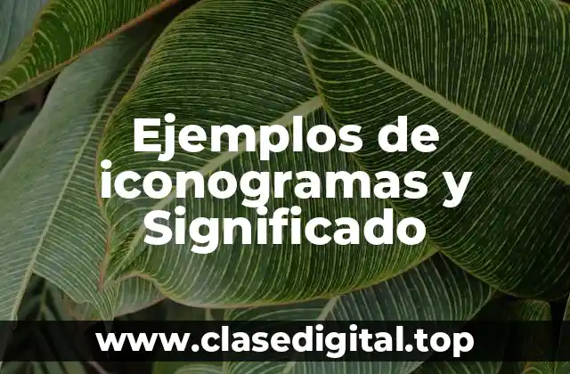 Ejemplos de iconogramas y Significado