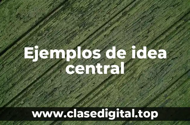 Ejemplos de idea central