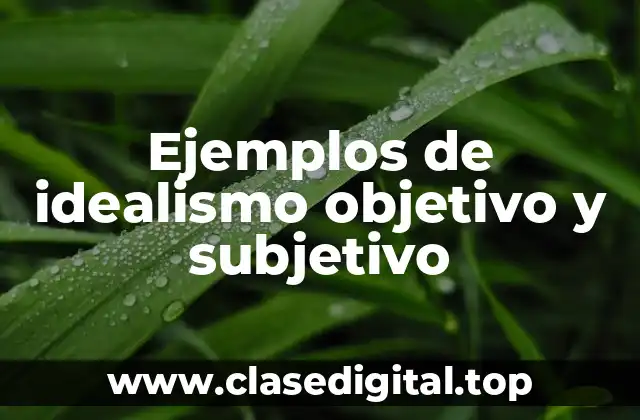 Ejemplos de idealismo objetivo y subjetivo